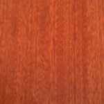 Sapely